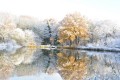 Neige-féérie